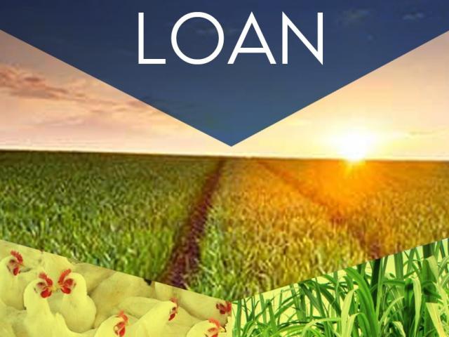 Agricultural loans for farmers in Neelambur Coimbatore